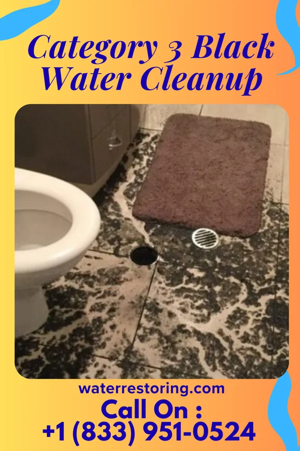 Category 3 Black Water Cleanup in Hamburg, IL