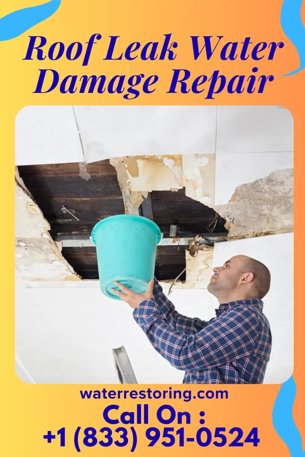 Roof Leak Water Damage Repair in Hamburg, IL